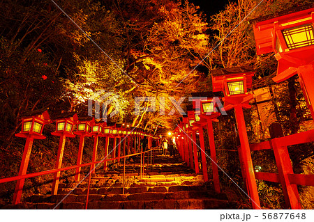 京都 貴船 もみじ灯篭 ライトアップの写真素材