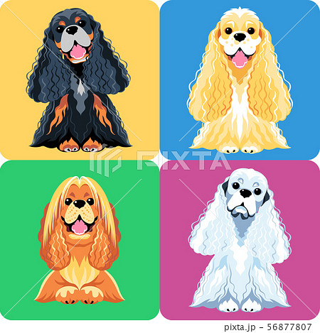 set dog icon flat design set dog icon flat design 56877807