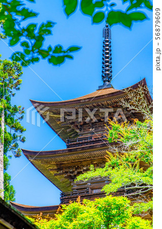 国宝大法寺三重塔　青木村　【長野県】 56879609