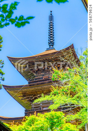国宝大法寺三重塔 青木村 【長野県】 国宝大法寺三重塔 青木村 【長野県】 56879614