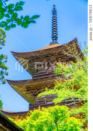 国宝大法寺三重塔 青木村 【長野県】 国宝大法寺三重塔 青木村 【長野県】 56879615