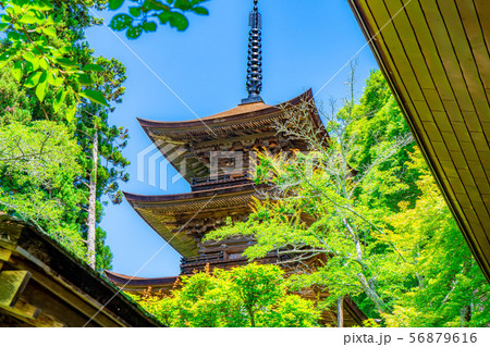 国宝大法寺三重塔 青木村 【長野県】 国宝大法寺三重塔 青木村 【長野県】 56879616