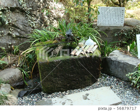 甲府市の武田神社にある姫の井戸 56879717