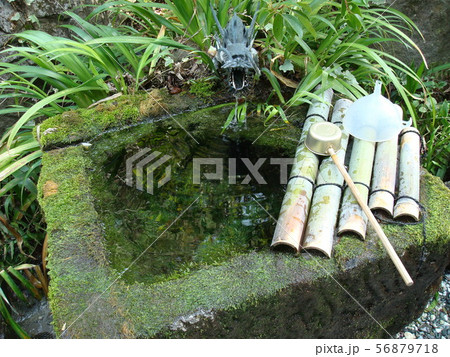 甲府市の武田神社にある姫の井戸 甲府市の武田神社にある姫の井戸 56879718