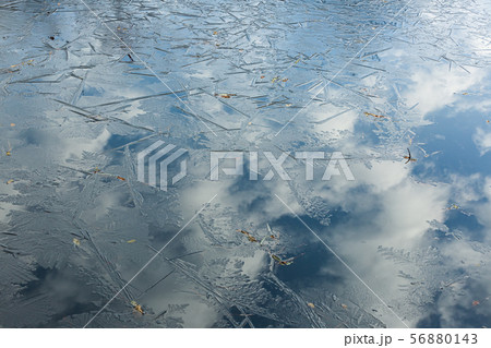 池の薄氷と青空の映り込み 56880143