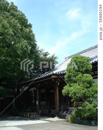 愛染かつらゆかりの谷中自性院 56880294