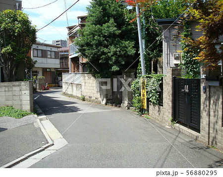 谷中へび道 56880295