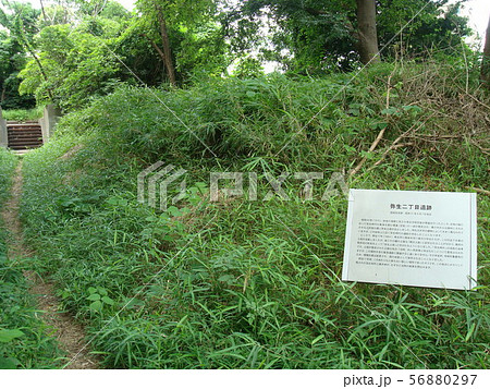 東京大学浅野地区にある弥生二丁目遺跡 56880297