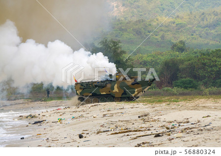 Assault amphibious vehicles land on sea shore Assault amphibious vehicles land on sea shore 56880324