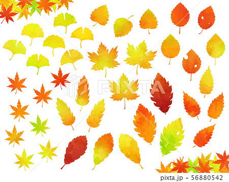 色々な秋の紅葉イラストセット 水彩風 のイラスト素材