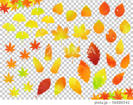 色々な秋の紅葉イラストセット（水彩風） 56880542