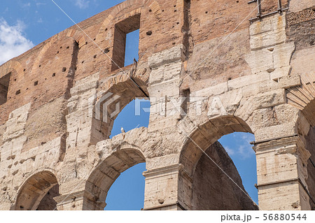 Colosseum in Rome 56880544