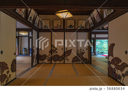 京都 青蓮院門跡 華頂殿 京都 青蓮院門跡 華頂殿 56880634