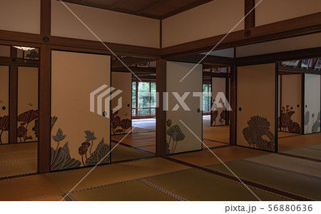 京都 青蓮院門跡 華頂殿 京都 青蓮院門跡 華頂殿 56880636
