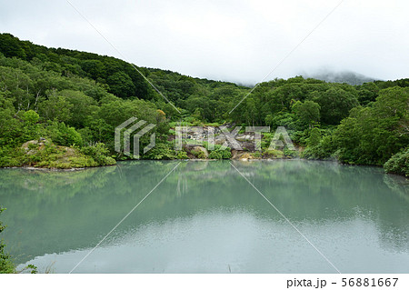 地獄沼 青森 酸ヶ湯 地獄沼 青森 酸ヶ湯 56881667