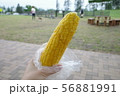 とうもろこし 56881991