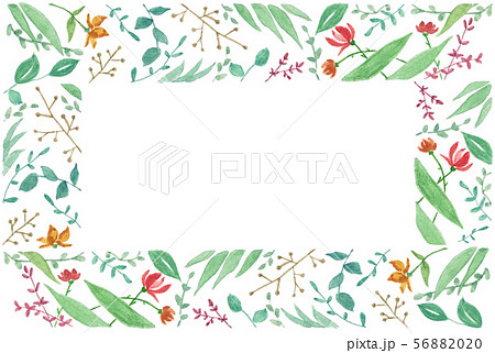 秋の草花 フレーム 秋の草花 フレーム 56882020
