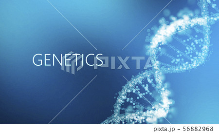 Word Genetics with DNA helix on blue scientific backdrop Word Genetics with DNA helix on blue scientific backdrop 56882968