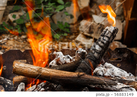 Bonfire burning flame close-up view from above Bonfire burning flame close-up view from above 56883149