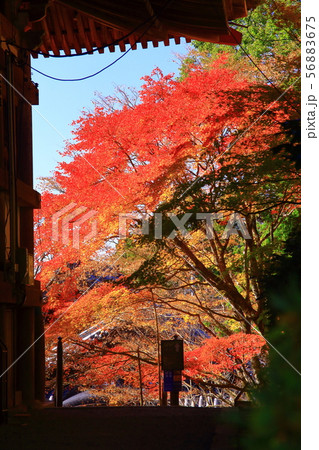 (御嶽山)播州 清水寺(加東市平木)境内の紅葉 (御嶽山)播州 清水寺(加東市平木)境内の紅葉 56883675