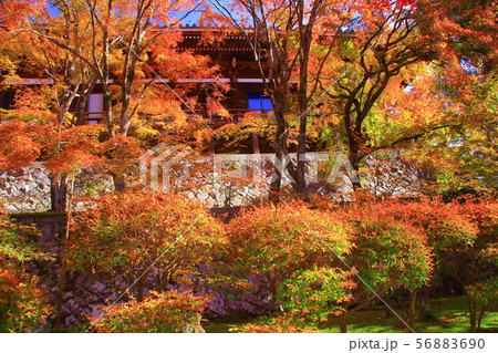 御嶽山 播州 清水寺 加東市平木 境内の紅葉の写真素材