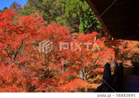 (御嶽山)播州 清水寺(加東市平木)境内の紅葉 (御嶽山)播州 清水寺(加東市平木)境内の紅葉 56883695