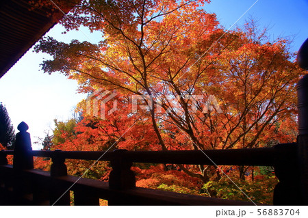 (御嶽山)播州 清水寺(加東市平木)境内の紅葉 (御嶽山)播州 清水寺(加東市平木)境内の紅葉 56883704