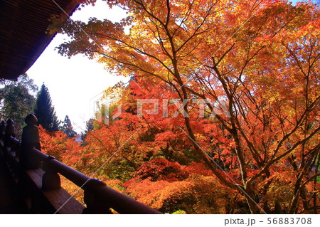 (御嶽山)播州 清水寺(加東市平木)境内の紅葉 (御嶽山)播州 清水寺(加東市平木)境内の紅葉 56883708