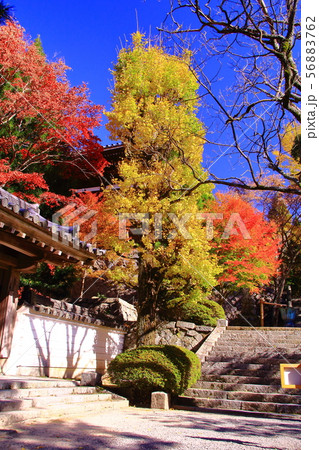 (御嶽山)播州 清水寺(加東市平木)境内の紅葉 (御嶽山)播州 清水寺(加東市平木)境内の紅葉 56883762