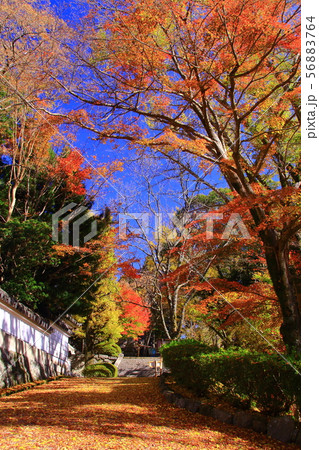 (御嶽山)播州 清水寺(加東市平木)境内の紅葉 (御嶽山)播州 清水寺(加東市平木)境内の紅葉 56883764