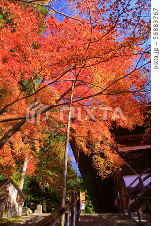 (御嶽山)播州 清水寺(加東市平木)境内の紅葉 (御嶽山)播州 清水寺(加東市平木)境内の紅葉 56883767