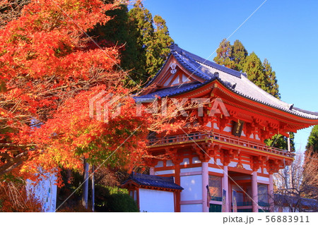 (御嶽山)播州 清水寺(加東市平木)境内の紅葉 (御嶽山)播州 清水寺(加東市平木)境内の紅葉 56883911