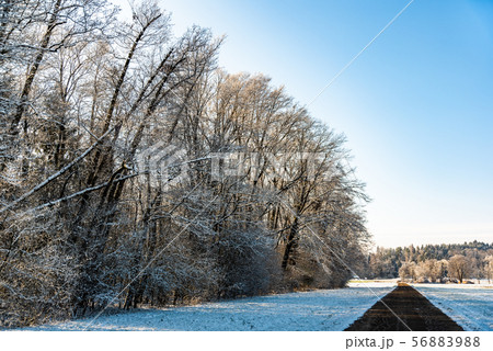 Sunset in a cold white winter day landscape. Road Sunset in a cold white winter day landscape. Road 56883988