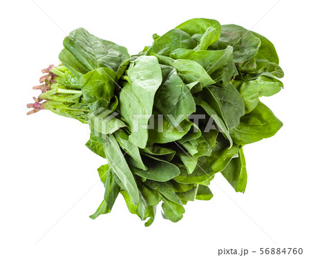 bunch of fresh green spinach herb isolated 56884760