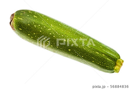 single green zucchini vegetable isolated single green zucchini vegetable isolated 56884836