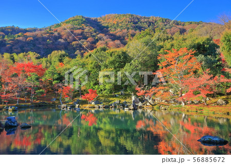 【京都府】錦秋の天龍寺　曹源池庭園 56885672