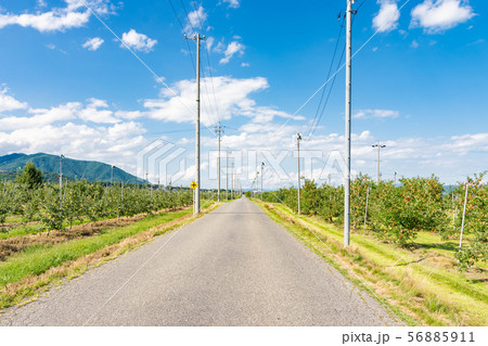 日本アルプスサラダ街道　安曇野市 56885911