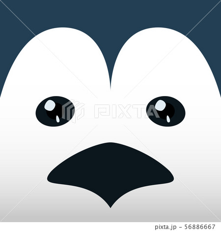 penguin face 56886667