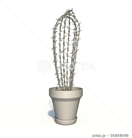 Succulent plant made of barbed wire 3D Succulent plant made of barbed wire 3D 56888096