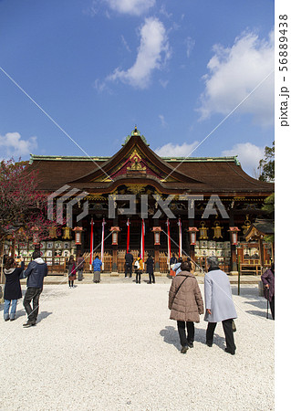 梅の木/北野天満宮/京都市 56889438