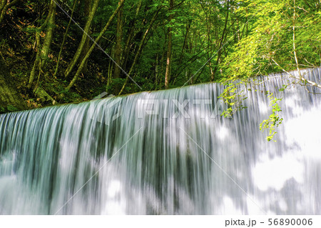 夏の光と滝 夏の光と滝 56890006