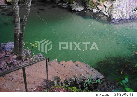 8月　ときがわ町12都幾川の清流･三波渓谷 56890042