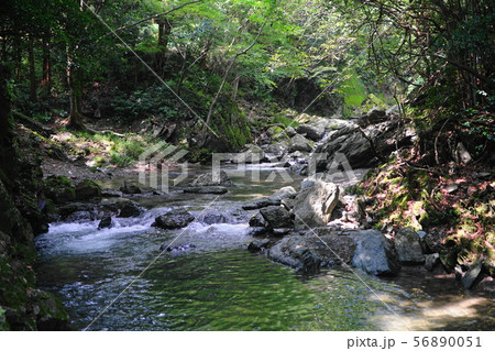 8月　ときがわ町03都幾川の清流･三波渓谷 56890051