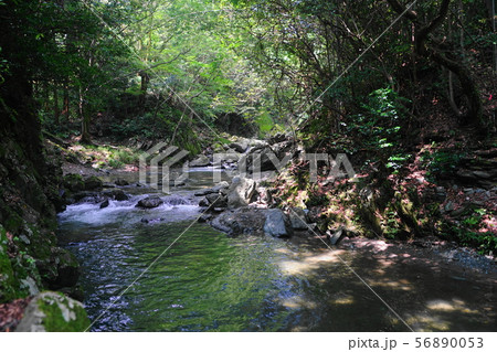 8月 ときがわ町01都幾川の清流・三波渓谷 8月 ときがわ町01都幾川の清流・三波渓谷 56890053