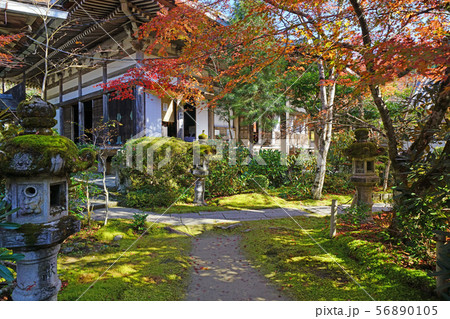 槇尾山　秋の西明寺　本堂 56890105