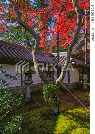 槇尾山　西明寺 56890114