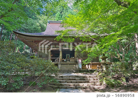 【女人高野 室生寺 本堂(灌頂堂)】 奈良県宇陀市室生 【女人高野 室生寺 本堂(灌頂堂)】 奈良県宇陀市室生 56890958