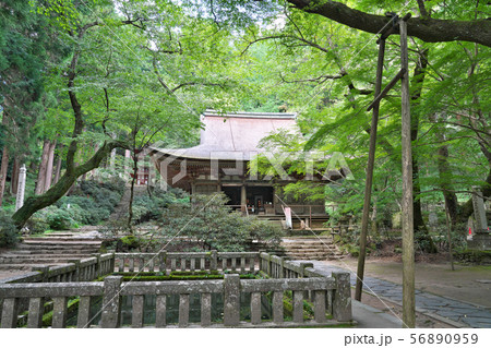 【女人高野 室生寺 本堂(灌頂堂)】 奈良県宇陀市室生 56890959