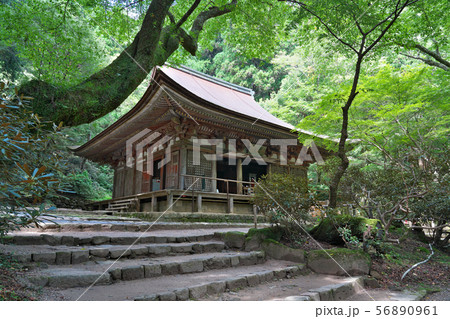 【女人高野 室生寺 本堂(灌頂堂)】 奈良県宇陀市室生 56890961