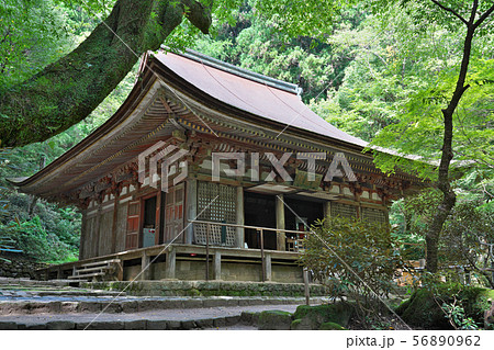 【女人高野 室生寺 本堂(灌頂堂)】 奈良県宇陀市室生 56890962